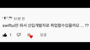 SwiftUi 만 파서 취업 가능할까요?