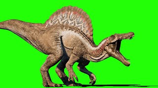 Spinosaurus Roar, Walk, Wake up, Eat and Fight - Dinosaur Green Screen