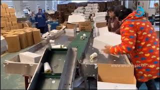 Automatic customized sewing thread rolls sleeve shrinking sealing packing machine with side labeling