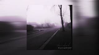 The Room That Rots Around Me - Shrinebird