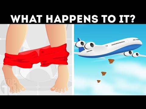 What Happens After You Flush on a Airplane?