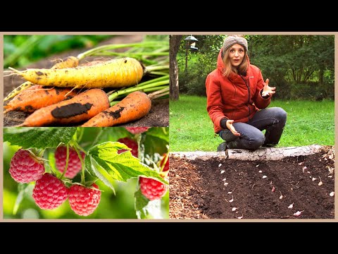 Video: BIOPREPARATIONEN - Natürlicher Schutz Ihres Gartens Und Gemüsegartens