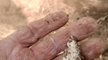 11/7/22 video number two