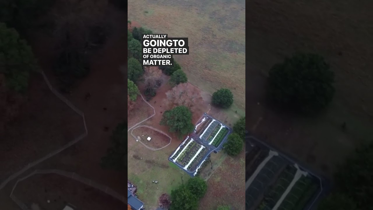 Till vs no till farming 