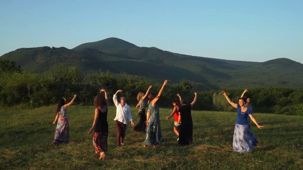 tibetan terrier M 3.5.10 Tashi Mondun བཀྲ་ཤིས་སྨོན་འདུན། | Dance demo