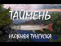 Русская рыбалка 4 (РР4)(RR4)-ПОЙМАЛ 2 СХОДА ПОДРЯД. ТАЙМЕНЬ ТУНГУСКА