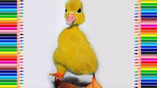 طريقة رسم بطة صفراء صغيرة كيوت | How to draw a Yellow Duck
