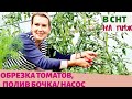 ДАЧА | Обрезка листвы у томатов | Полив насосом из бочки