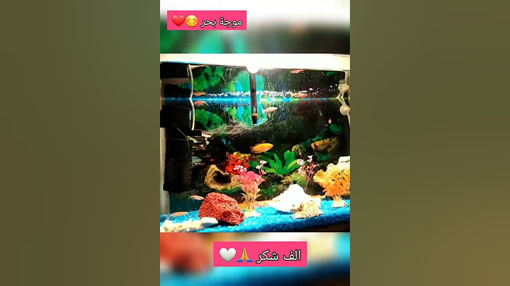 الف شكر لكل عيلتي واخواتي متابعيني شركاء نجاحي"عيلة موجة بحر"رجعت ليكم🤍