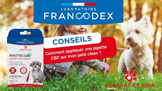 Conseils Veterinaires - Comment Appliquer Une Pipette Cbd Sur Mon Petit Chien? Francodex