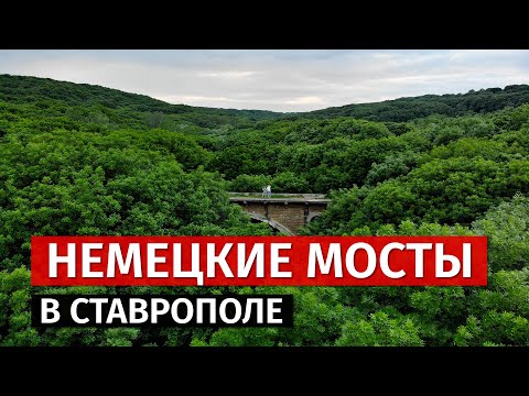 Video: Bigos Hauv Stavropol Style