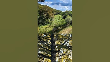 Thumbnail of Strings - The Magpie Swan Inspiration @Hardlinen