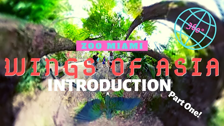 Wings of Asia Part 1- Zoo Miami - Full 360° VR Experience!