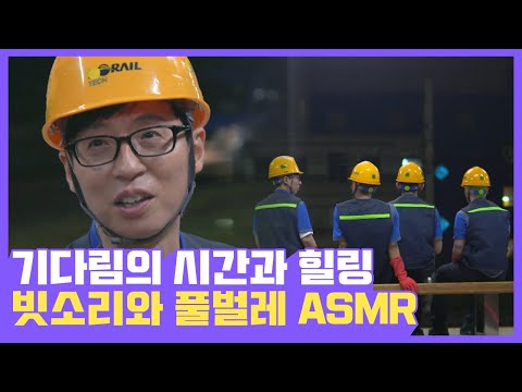 보다가 나도 모르게 입 벌어지는 아무도 없는 기차 플랫폼에서 나는 빗소리 &amp;amp; 풀벌레 소리 ASMR | #깜찍한혼종_일로만난사이 | #Diggle