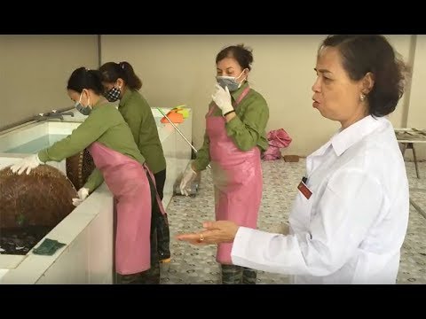 Video Dây chuyền sản xuất thuốc An Cung Trúc Hoàn hỗ trợ... - youtube