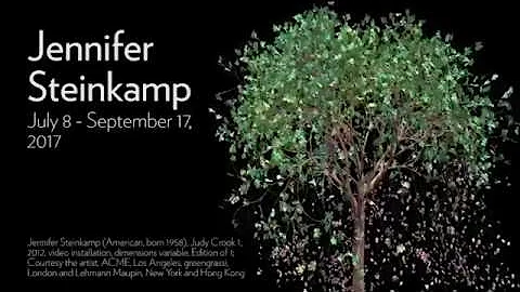 Exhibition: Jennifer Steinkamp - July 8 to Septemb...