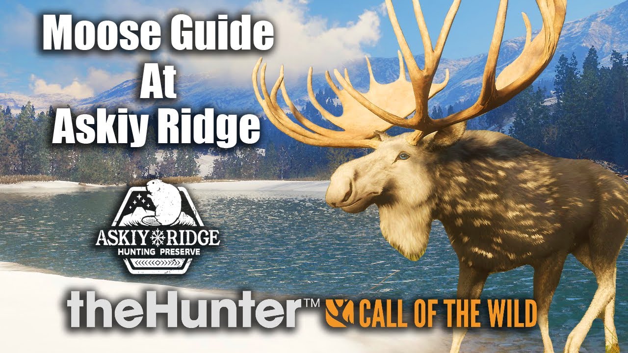 Moose Guide At Askiy Ridge - theHunter Call Of The Wild - YouTube
