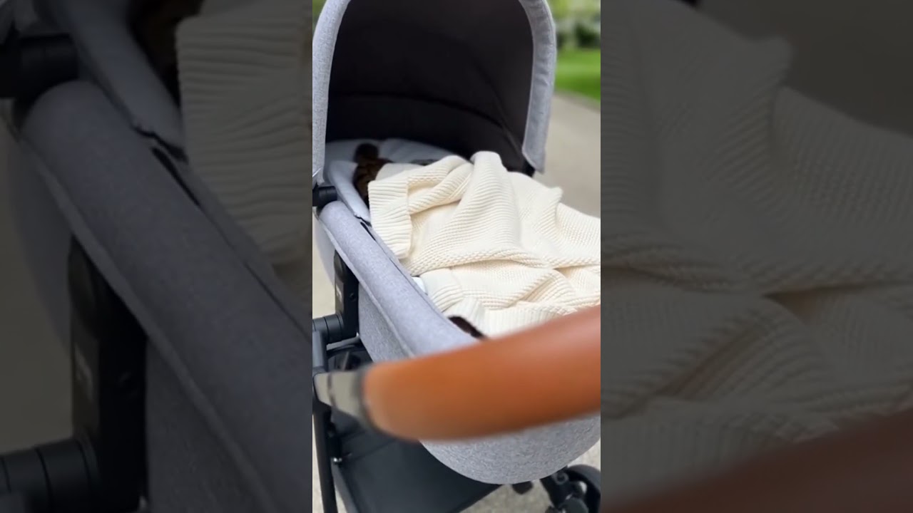 They Thought There Was a Snake in the Stroller 😱 (Wait for It) 