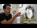 $1 Bleach KILLS Black Mold Forever. The $30 Mold Remover Is the Same Thing