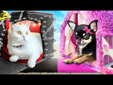 видео: Хорошая собака vs плохая кошка! Мы построили домики для домашних животных