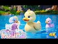 🎵 20 Min MAGISCHE Kinderlieder! 🐥🐝🎂🐴 | Polina Kinderlieder