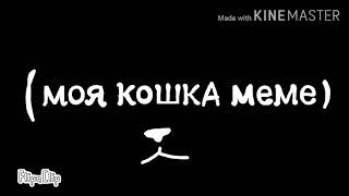 Моя кошка меме (my first animation)