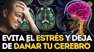 ¿Qué causa el exceso de pensamiento en el cerebro?