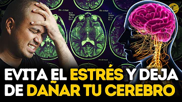 ¿Cuál es el mayor desencadenante de estrés en su vida?