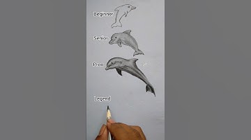 how to draw a realistic Dolphin 🐬😯 #art #youtubeshorts #shorts #@ArtwithBir_9