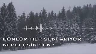 Gönlüm Hep Seni Arıyor, Neredesin Sen? / Cover