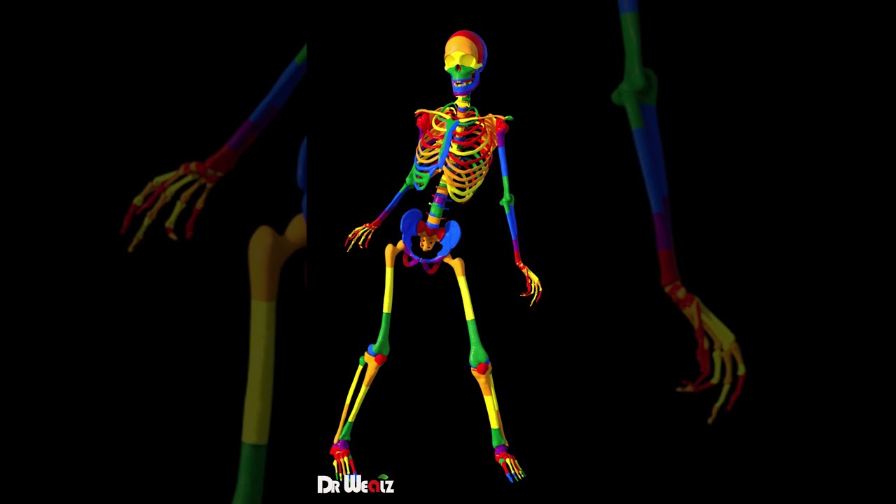 Improve Bone Density With This One Movement (Healthy Bones)