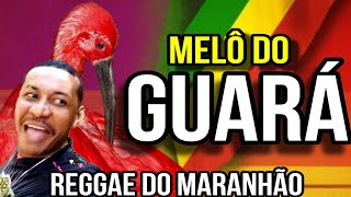 Melô Do Guará - Dj Mister Foxx