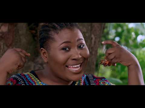 Judikay - Idinma (Official Video)