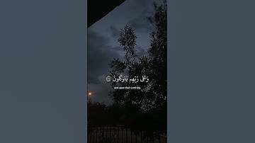 القارئ عبد الرحمان مسعد #قرآن #اكسبلور #ارح_قلبك #راحة_نفسية #قران_كريم #لايك #تلاوة_خاشعة