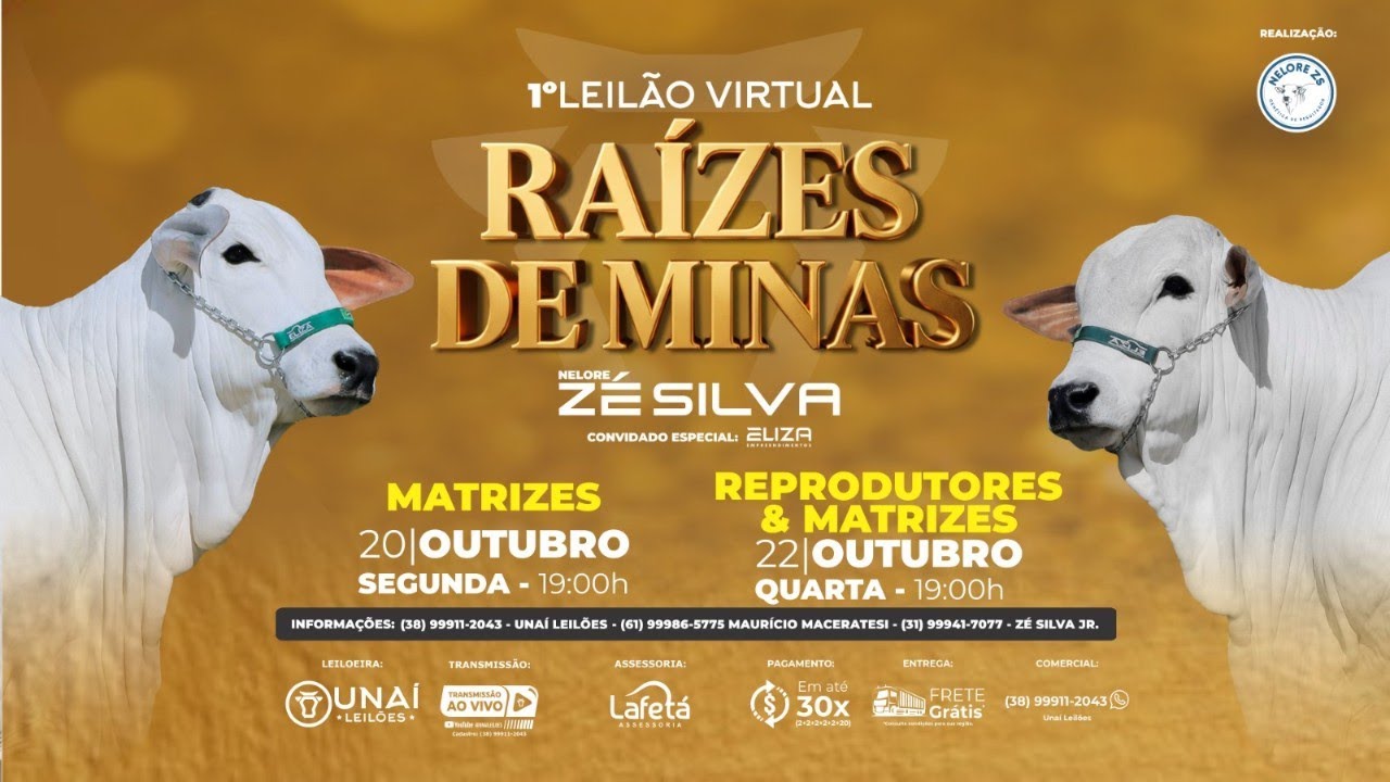 1º LEILÃO VIRTUAL RAÍZES DE MINAS - NELORE ZÉ SILVA - MATRIZES - UNAÍ LEILÕES  - 20-10-2025