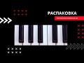 РАСПАКОВКА - Novation Impulse 61