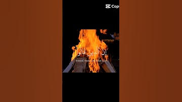 سورة فصلت بصوت (الشيخ ناصر القطامي🌿)