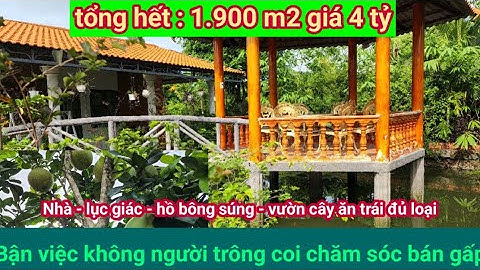 Bán gấp khu nghỉ dưỡng 1.900m2 giá 4 tỷ - hồ cá - lục giác - vườn cây ăn trái đủ loại