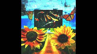 Nightmare Eyes - Virtual Koi Pond (2006) (2023)