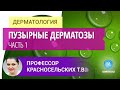 Профессор Красносельских Т.В.: Дифференциальная диагностика дерматозов, проявляющихся пузырями. Ч. 1