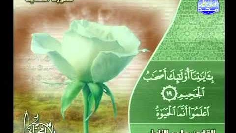 ماجد الزامل ــ سورة الحديد 1 الى 29