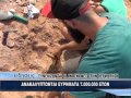ΔΕΟΣ ΣΤΙΣ ΣΕΡΡΕΣ! Ευρήματα 7.000.000 ετών φέρνουν στο φως οι ανασκαφές (Βίντεο)