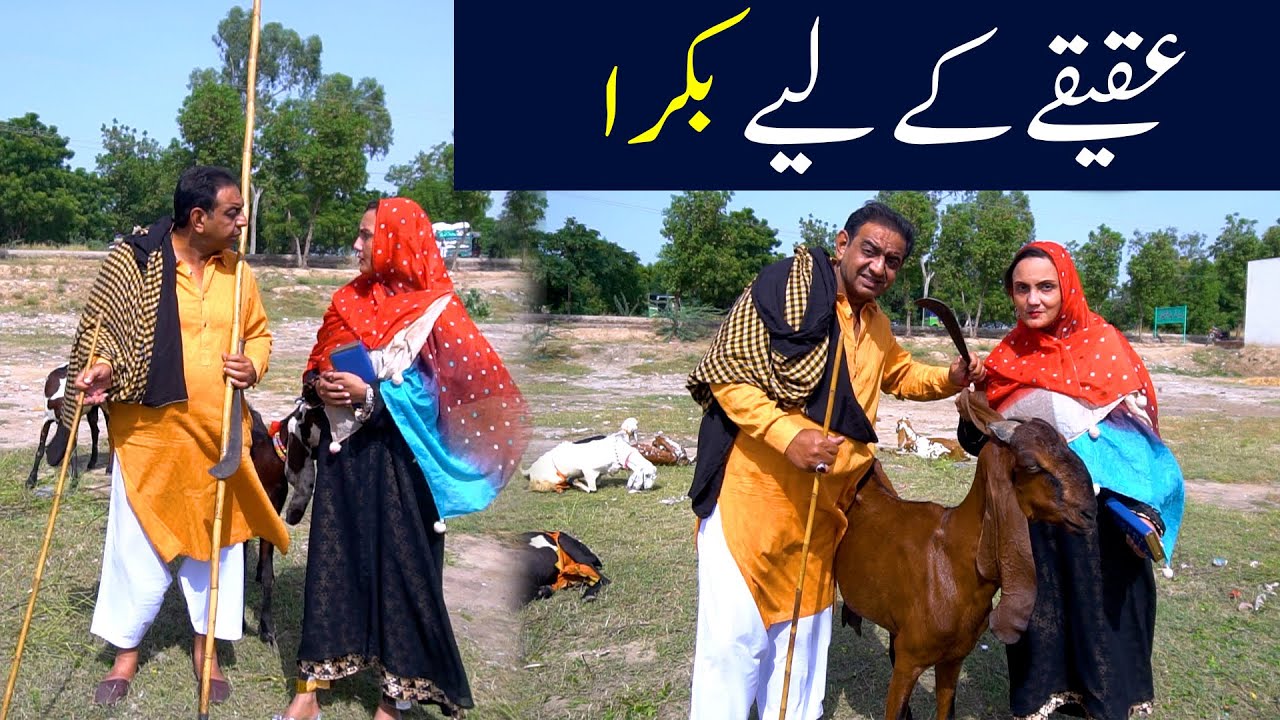 Shary Khan & Reena Irani New Comedy Video🤣||#rsaentertainment #comedy