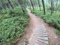 Špindlerův Mlýn,  Spindl Bike Park 2019, DEEP Forest Trail , Green line