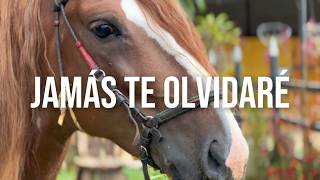 Jamás Te Olvidaré Simank Cover