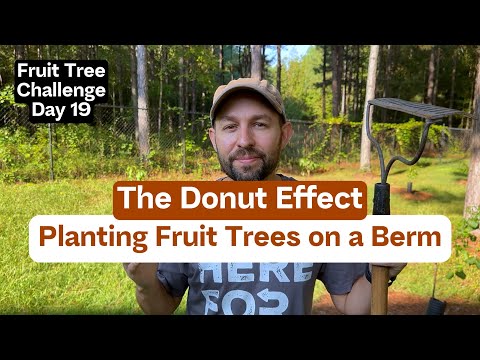 The Donut Effect: Planting Fruit Trees on a Berm - Fruit Tree Challenge Day 19