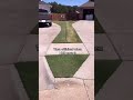 The most controversial lawn on the internet