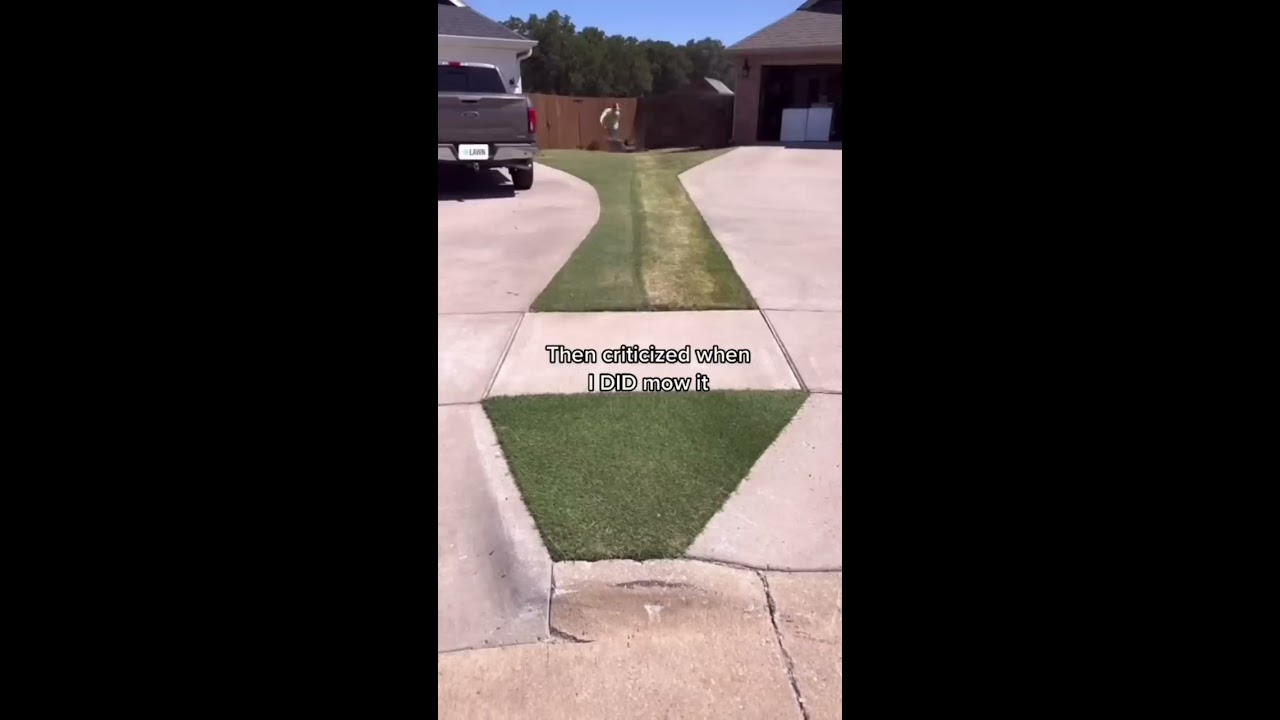 The Most Controversial Lawn On Internet