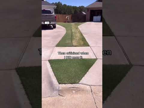 The Most Controversial Lawn on the Internet