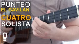 Video-Miniaturansicht von „Punteo de El Gavilan con Cuatro Venezolano - Cuatro Solista“